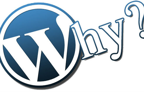 Reasons To Choose WordPress Website | WordPress Website Developer | SysTab