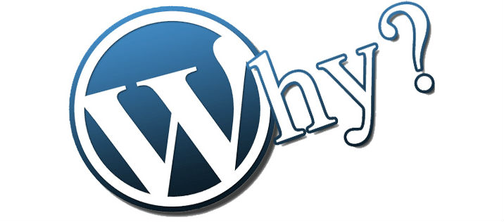 Reasons To Choose WordPress Website | WordPress Website Developer | SysTab