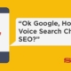 voice search | How to Optimize the website for Google Voice Search | SysTab | Vijay Mishra