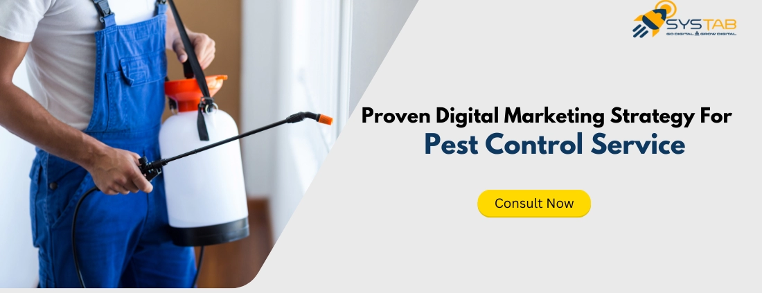 Proven Digital Marketing Strategy For Pest Control Service | SysTab India